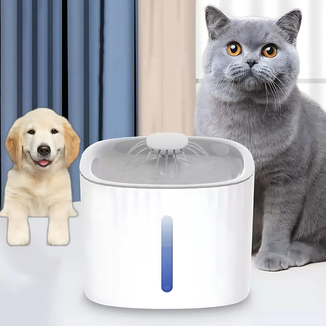 Dispensador Automático de Agua para Mascotas de 3 Litros