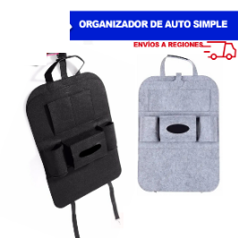 Organizador de Auto Simple