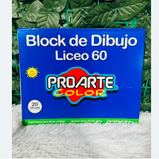 Block de Dibujo Liceo 60 Proarte